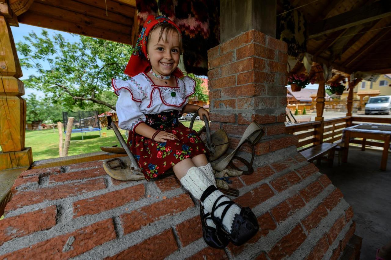 Pensiune Agroturistica "Casa Teodora" Budeşti المظهر الخارجي الصورة