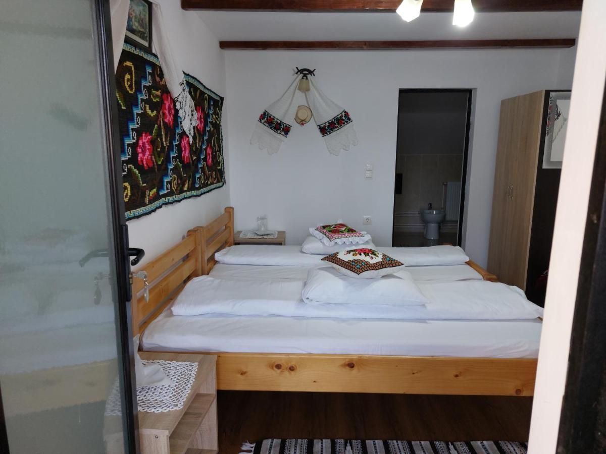 Pensiune Agroturistica "Casa Teodora" Budeşti المظهر الخارجي الصورة