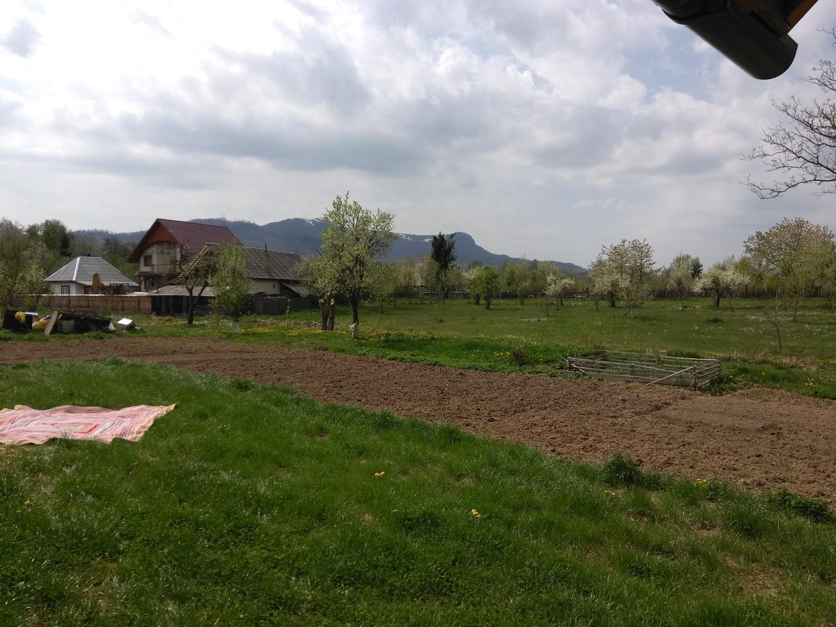 Pensiune Agroturistica "Casa Teodora" Budeşti المظهر الخارجي الصورة
