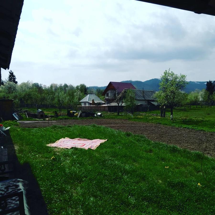 Pensiune Agroturistica "Casa Teodora" Budeşti المظهر الخارجي الصورة